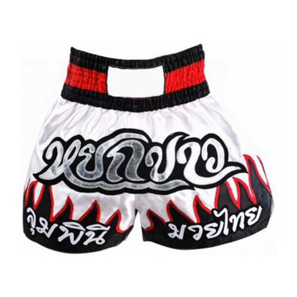 Kickboxing Shorts